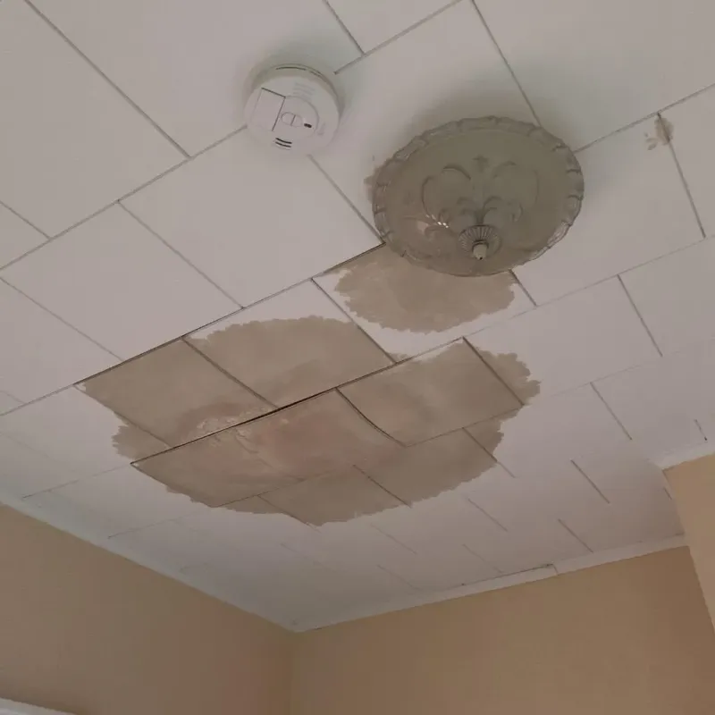 Ceiling Water Damage Repair in Okmulgee County, OK