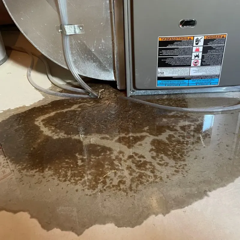 Pipe Burst and Leak Restoration in Okmulgee County, OK